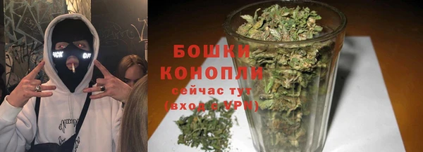 spice Мегион