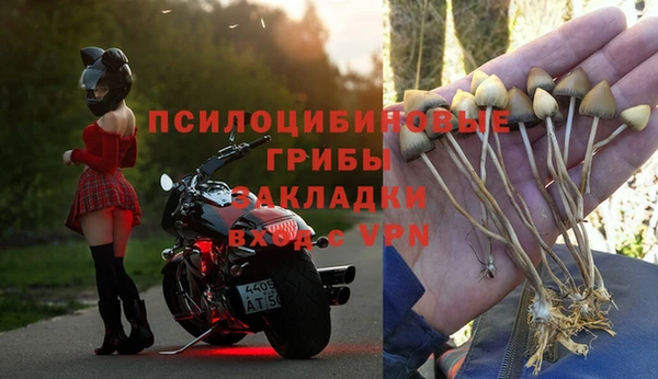 молекула духа Балабаново