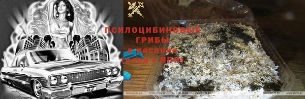 молекула духа Балабаново